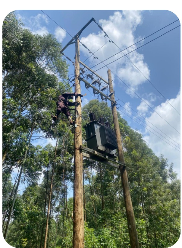 Tirib technicians working on an electrical power-line installation